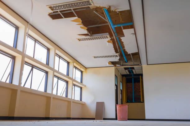 Best Water damage restoration near me  in Logan, OH