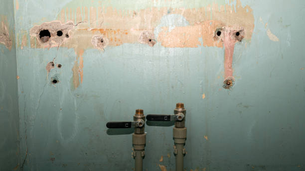 Best 24-hour water damage restoration  in Logan, OH