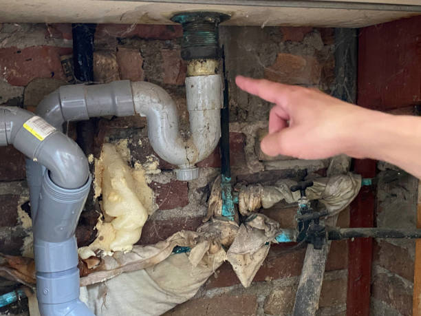Best Water damage restoration near me  in Logan, OH