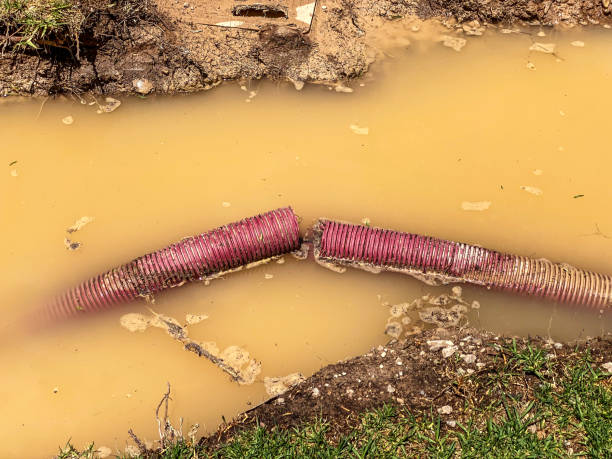 Best Sewage cleanup and water damage restoration  in Logan, OH